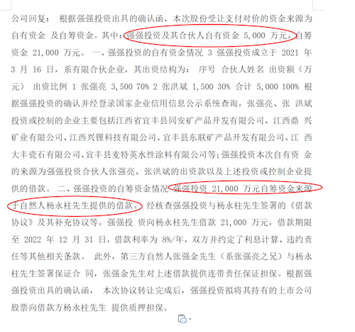 “借款注资”悬念 强强投资的实力与真意透视