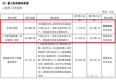 企业年报系列（三） 挖掘自有资金投资的